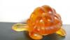 160.26.tortue copie.JPG